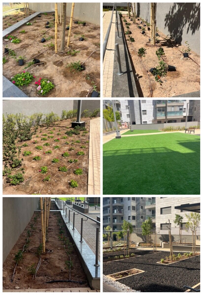 תמונות לפני ואחרי של שיקום גינה בבית משותף